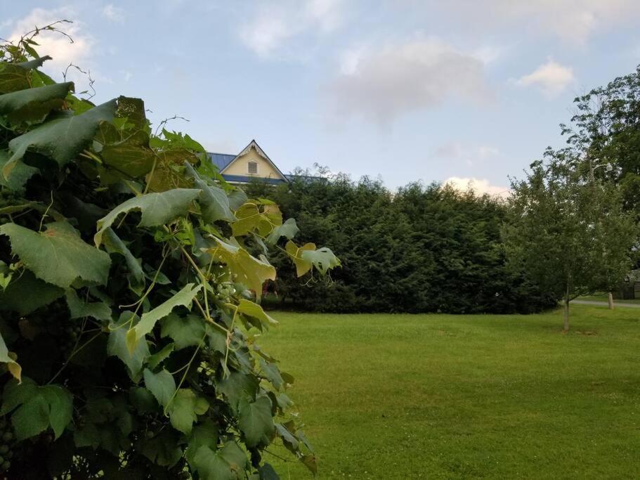 Basecampwv-Durbin. Spacious 4 Bedroom House W/Yard ภายนอก รูปภาพ